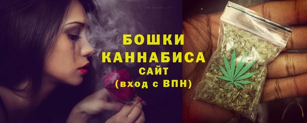 стафф Вяземский