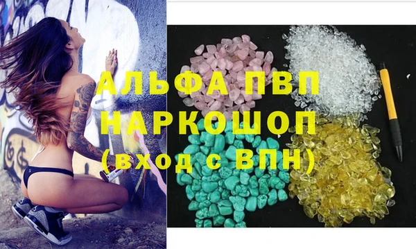 стафф Вяземский